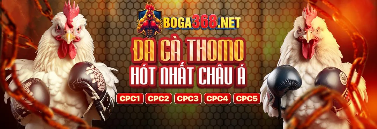 Tổng hợp các trò chơi thể thao, sòng bạc, máy đánh bạc và bắn cá trên Q99