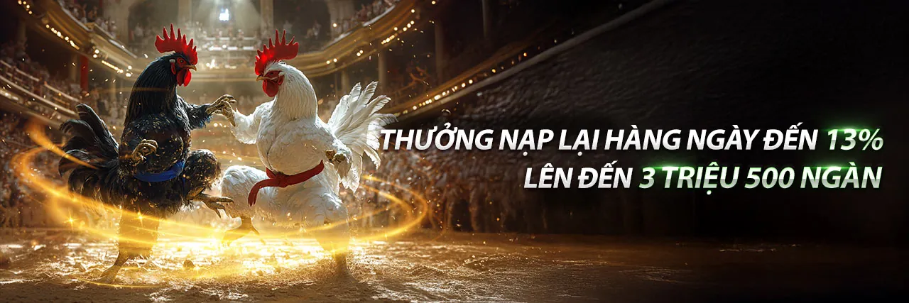 Hình ảnh chính về đăng nhập Q99